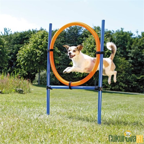 TRIXIE KÖPEK AGILITY EĞİTİM ÇEMBERİ 115 x 3 x 65 CM