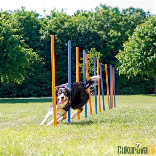 TRIXIE AGILITY KÖPEK EĞİTİM DİREKLERİ 12 ADET - 115 CM