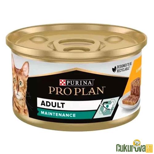 PRO PLAN MAINTINANCE TAVUKLU KEDİ KONSERVESİ 85 GR