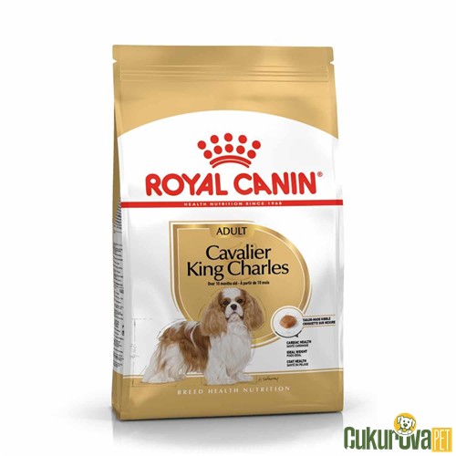 ROYAL CANIN CAVALIER KING CHARLES YETİŞKİN KÖPEK MAMASI 3 KG