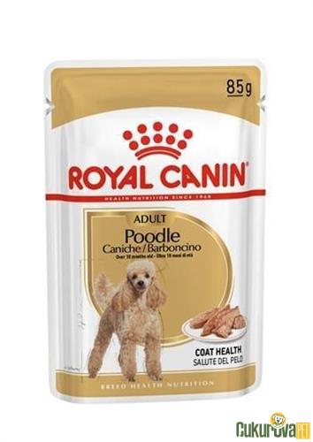 ROYAL CANIN ADULT POODLE CANICHE TÜY SAĞLIĞI DESTEKLEYİCİ YETİŞKİN KÖPEK YAŞ MAMASI 85 GR