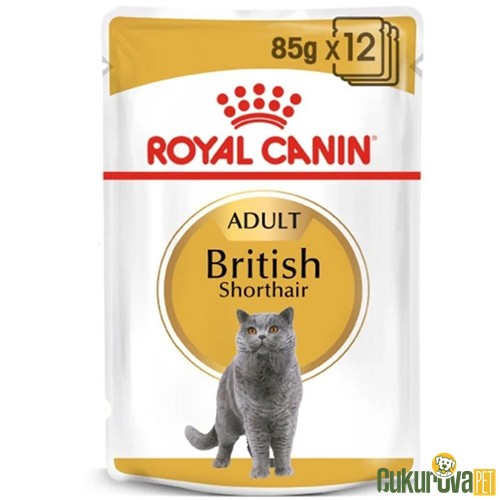 ROYAL CANIN BRITISH SHORTHAIR ADULT YETİŞKİN KEDİ YAŞ MAMASI 85 GR 