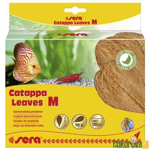 SERA CATAPPA YAPRAĞI M - 18 CM - 10 ADET 
