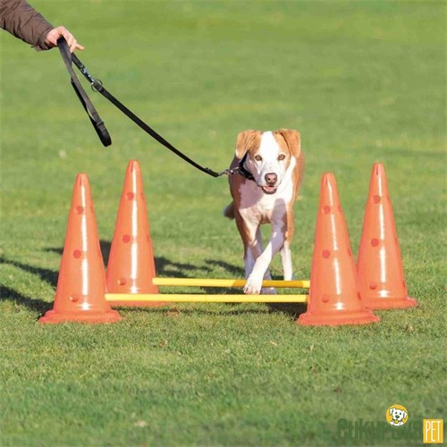TRIXIE PLASTİK KÖPEK AKTİVİTE OYUNCAĞI 30 x 50 CM