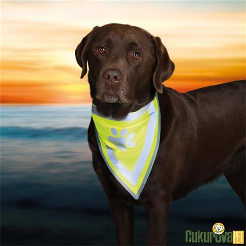 TRIXIE POLYESTER FOSFORLU KÖPEK BANDANASI 22 - 28 CM XS - S