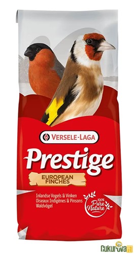 VERSELE LAGA EUROPAN FINCH YEMİ 1 KG