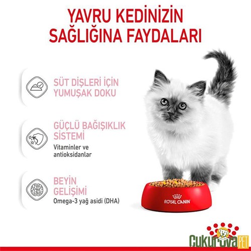 Royal Canin Kitten Jelly Yavru Kedi Yaş Maması 85 Gr