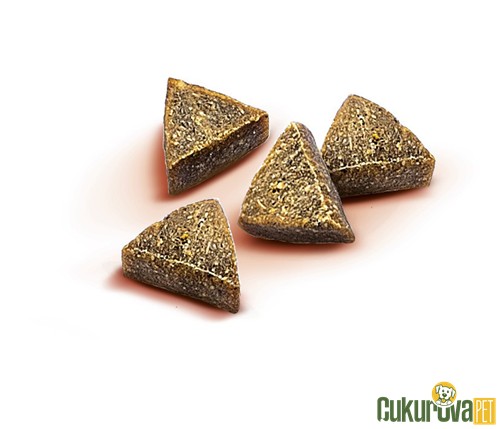 Brit Antiparasitic Somonlu Ve Papatyalı Antiparazi̇ter Köpek Ödül Tableti 150 Gr