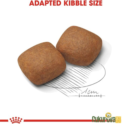 Royal Canin Junior Giant Yavru Köpek Maması 15 Kg