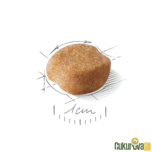 Royal Canin Adult Yorkshire Terrier Yetişkin Köpek Maması 1.5 Kg