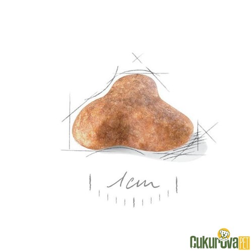 Royal Canin Adult Pug Yetişkin Köpek Maması 1.5 Kg