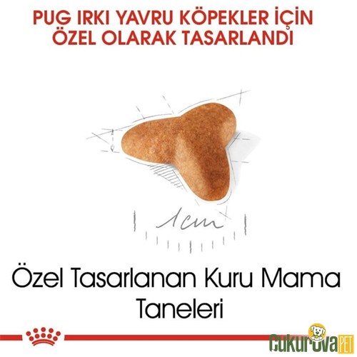 Royal Canin Puppy Pug Yavru Köpek Maması 1.5 Kg