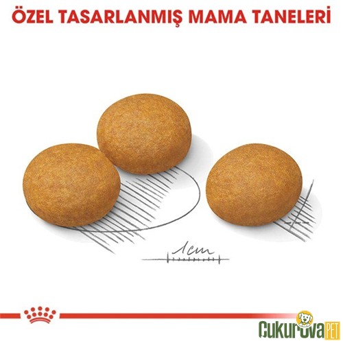 Royal Canin Dermacomfort Medium Yetişkin Köpek Maması 12 Kg