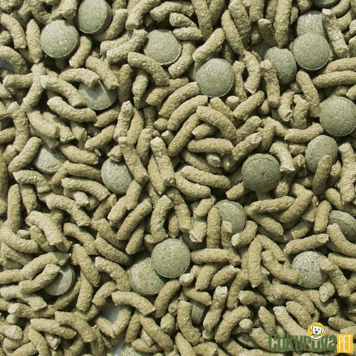 Sera Raffy Vital Nature Sticks Kaplumbağa Yemi 250 Ml - 47 Gr