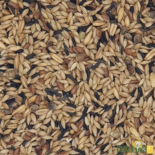 Versele Laga Prestige Canaries Şalgamsız Kanarya Yemi 22 Kg