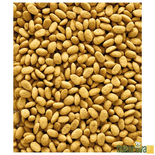 Versele Laga NutriBird P19 Original Pellets Papağan Yemi 10 Kg