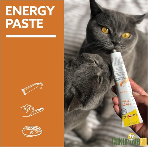 Gimcat Energy Paste Kedi̇ Macunu 50 Gr