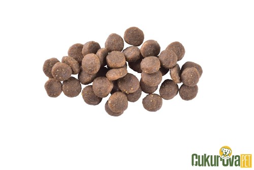 Brit Care Skin&Coat Puppy Somonlu Yavru Köpek Maması 3 Kg