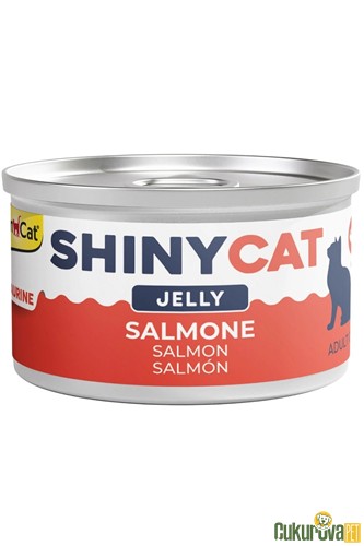 Gimcat ShinyCat Jöle İçinde Somonlu Yetişki̇n Kedi̇ Konservesi̇ 70 Gr