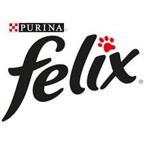 FELIX